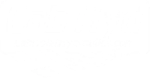 Cabriolet Hydraulics